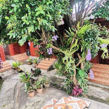 Kongkeo Guesthouse Muang Phônsavan Exteriér fotografie